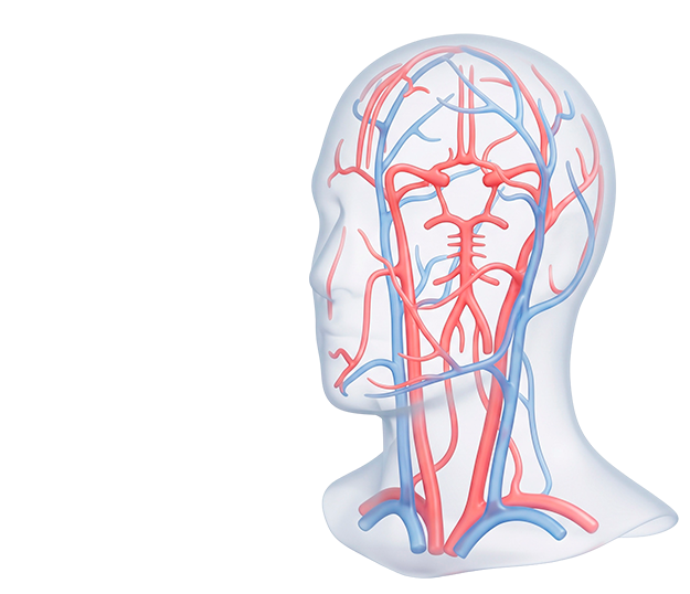 Комплекс МРТ сосудов и головного мозга за 10 000₽