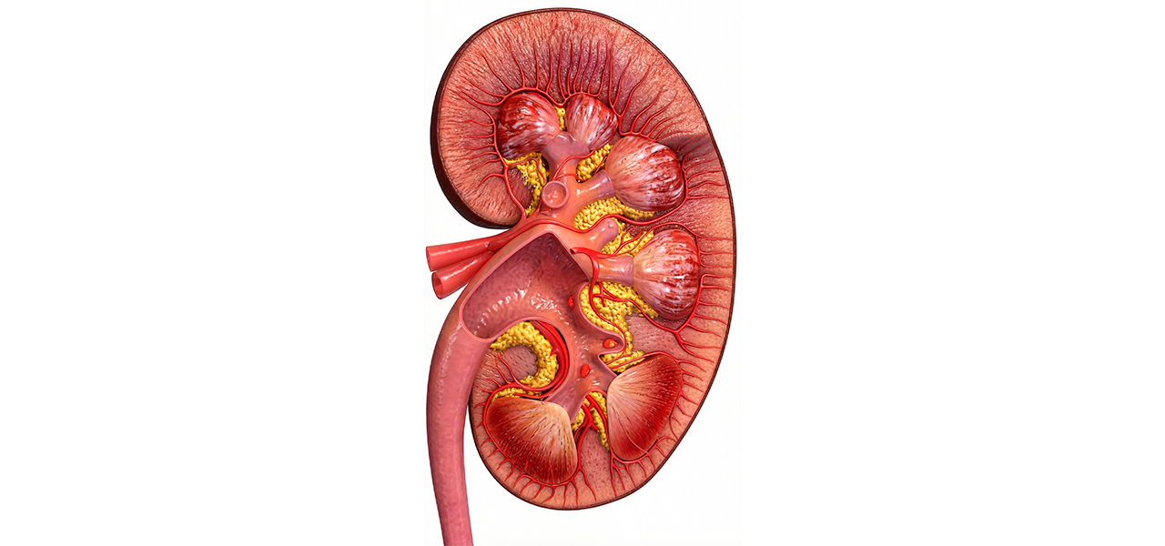 Почечная недостаточность