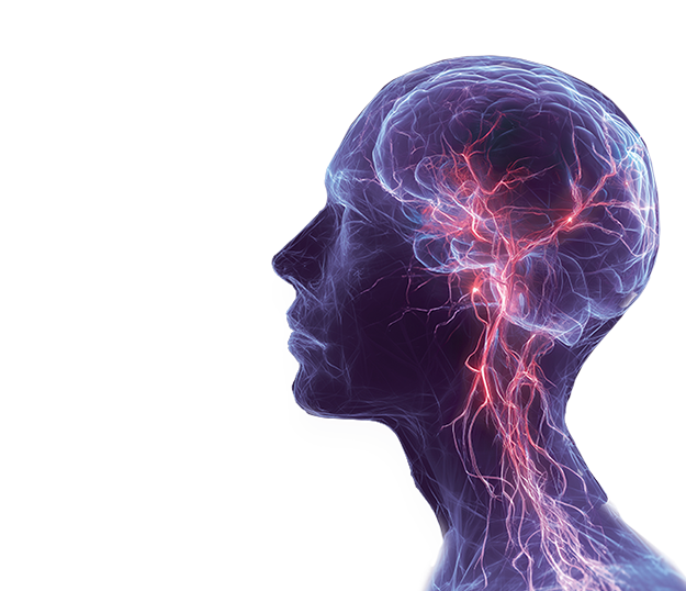 МРТ головного мозга за 3 500 ₽