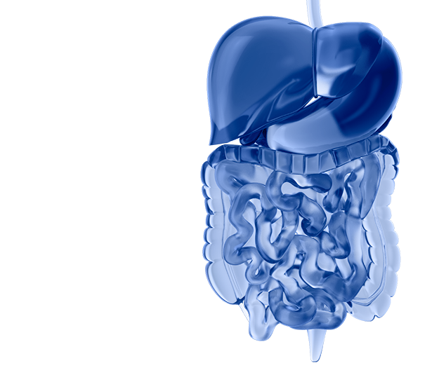 Комплексное обследование пищеварительной системы