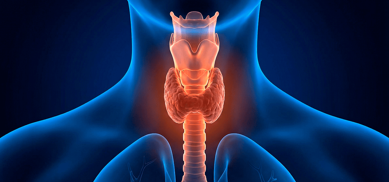 Фиброма гортани