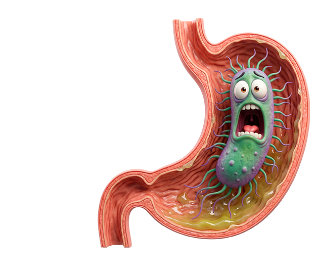 Стоп гастрит!