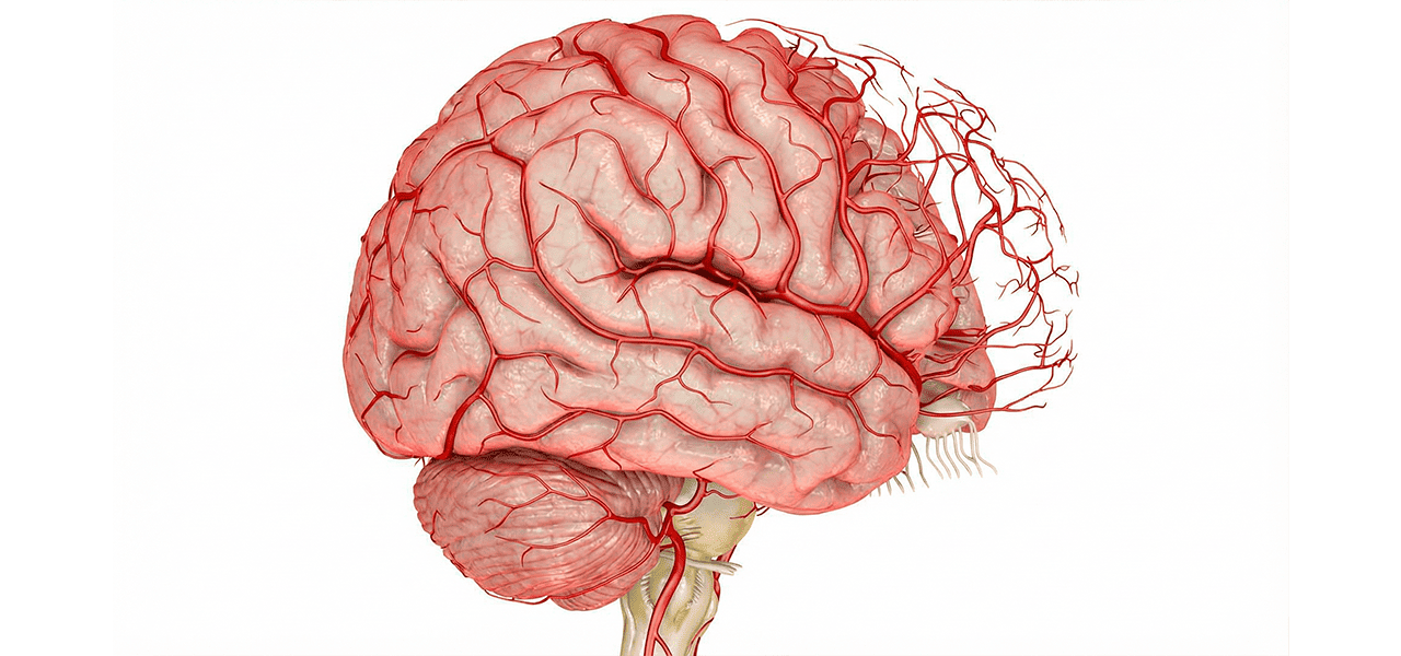 Энцефалопатия