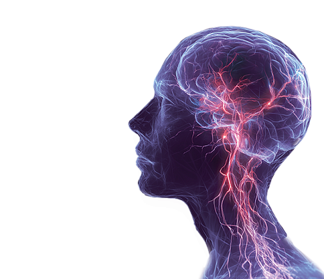 МРТ головного мозга за 3 500 ₽