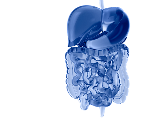 Комплексное обследование пищеварительной системы
