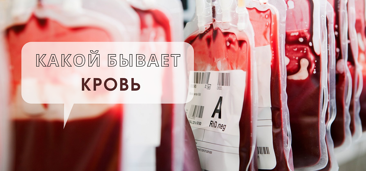 Группа крови, резус-фактор и другие ответы на очевидные вопросы о крови