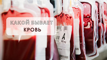 Группа крови, резус-фактор и другие ответы на очевидные вопросы о крови