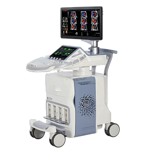 Аппарат УЗИ Voluson E10