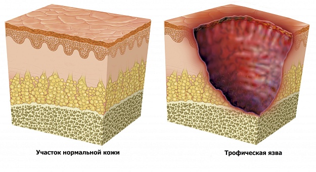 Диагностика